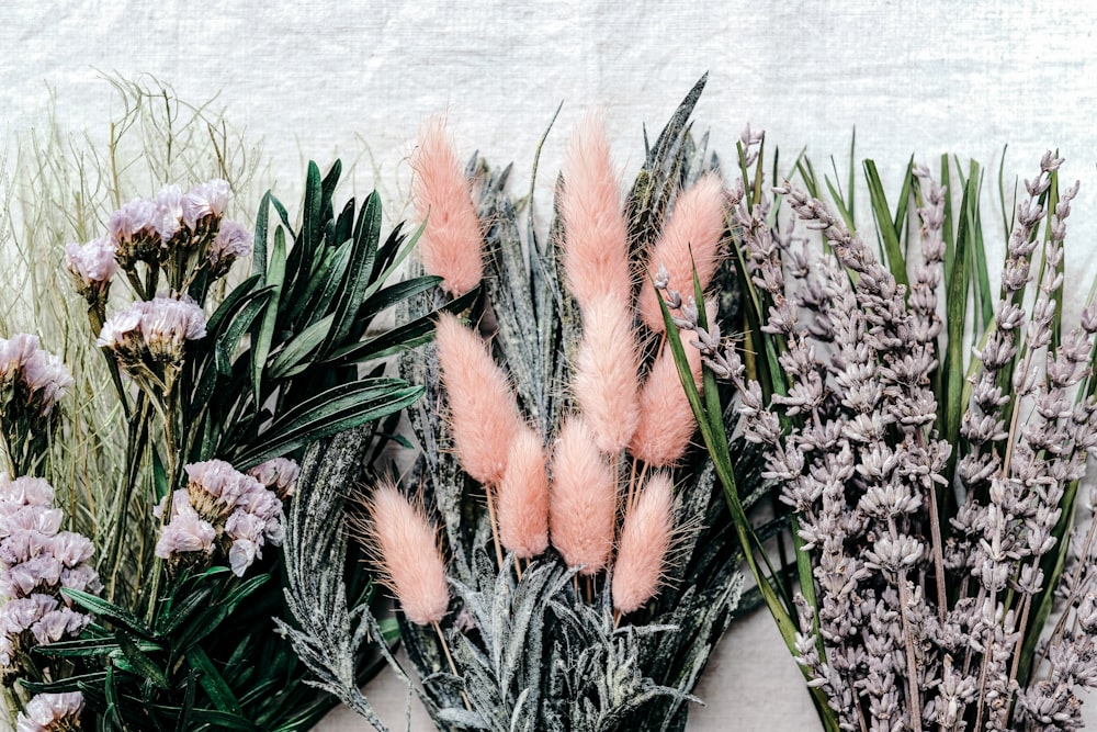 orange and green plant on white table