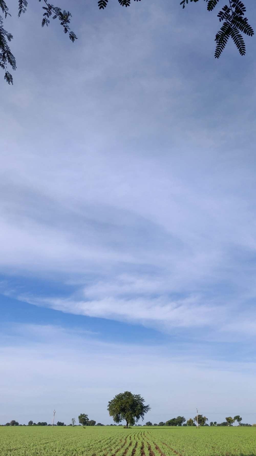 white clouds and blue sky during daytime