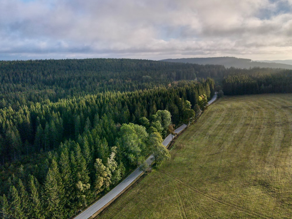 green grass field and trees under white clouds