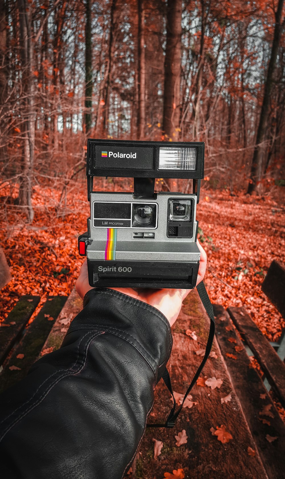 black and white polaroid camera on brown leaves