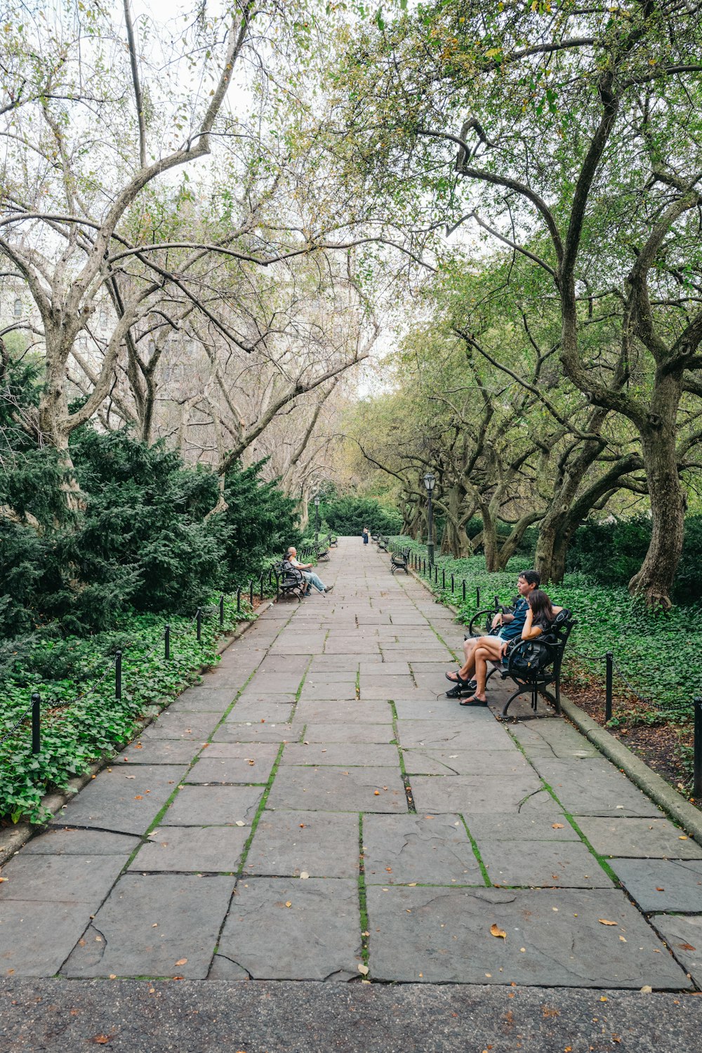 people sitting on bench near trees during daytime