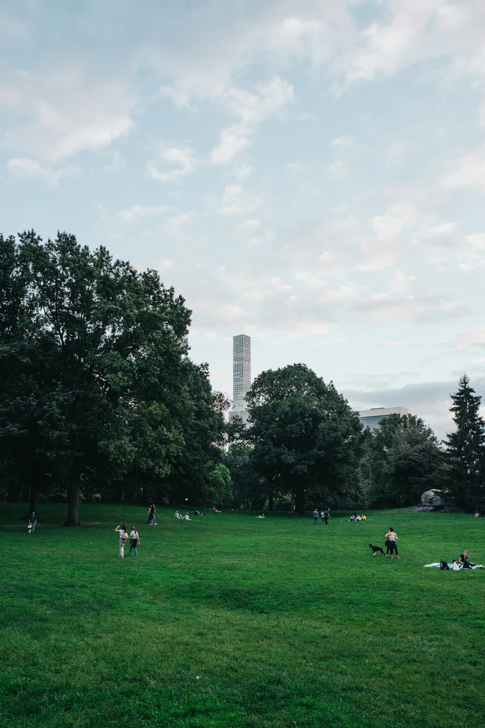 The image depicts a serene park scene with a large, lush green field dotted with trees and people enjoying their time outdoors. The sky above is filled with clouds, casting a soft light over the landscape. In the distance, there are several buildings visible, adding an urban touch to the otherwise natural setting.