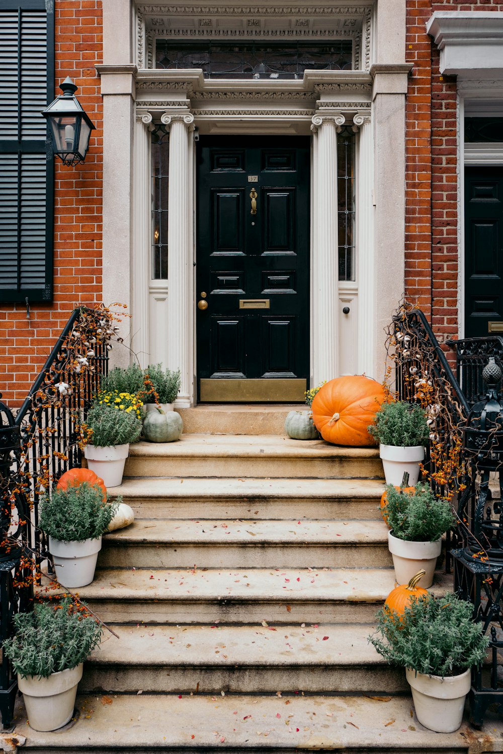 pumpkin on white concrete stairs