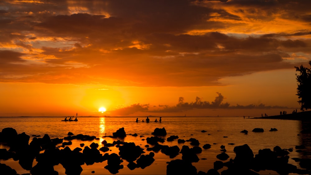 silhouette of people on beach during sunset