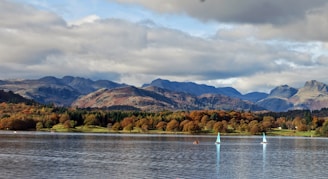 white boat on body of water near green trees and mountains during daytime