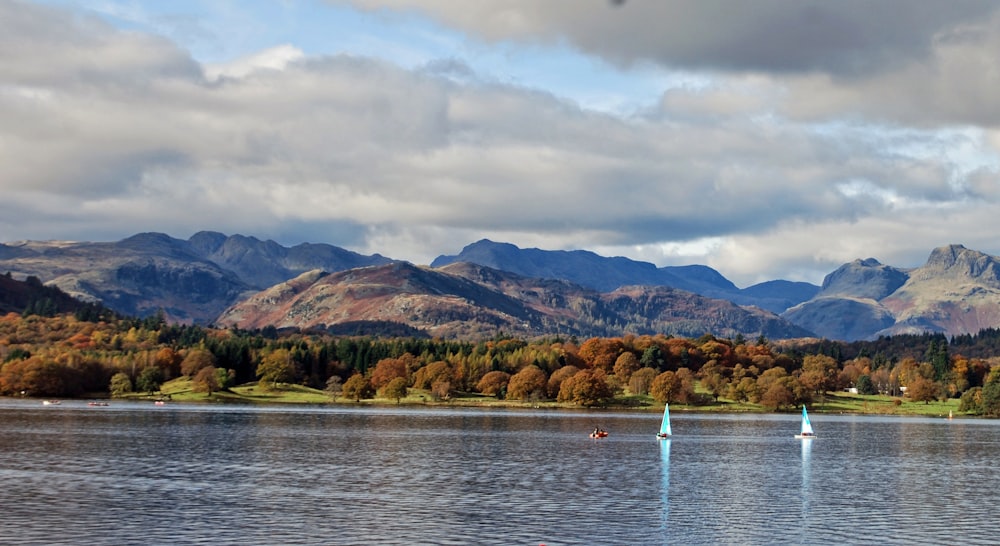 white boat on body of water near green trees and mountains during daytime