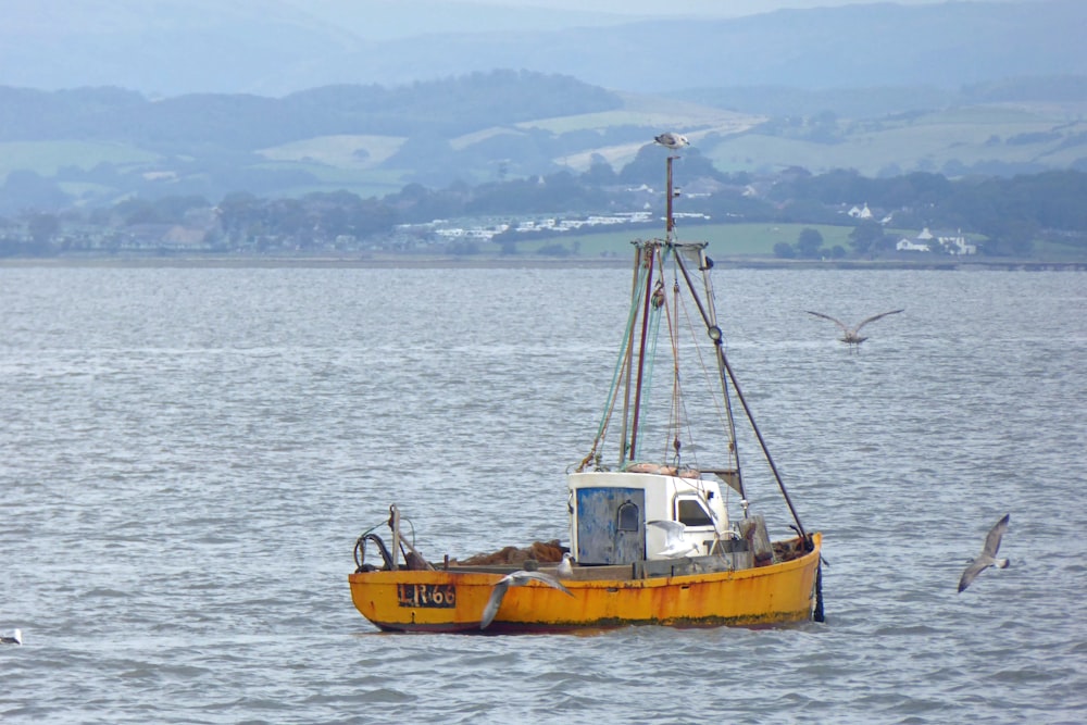 yellow and white boat on sea during daytime