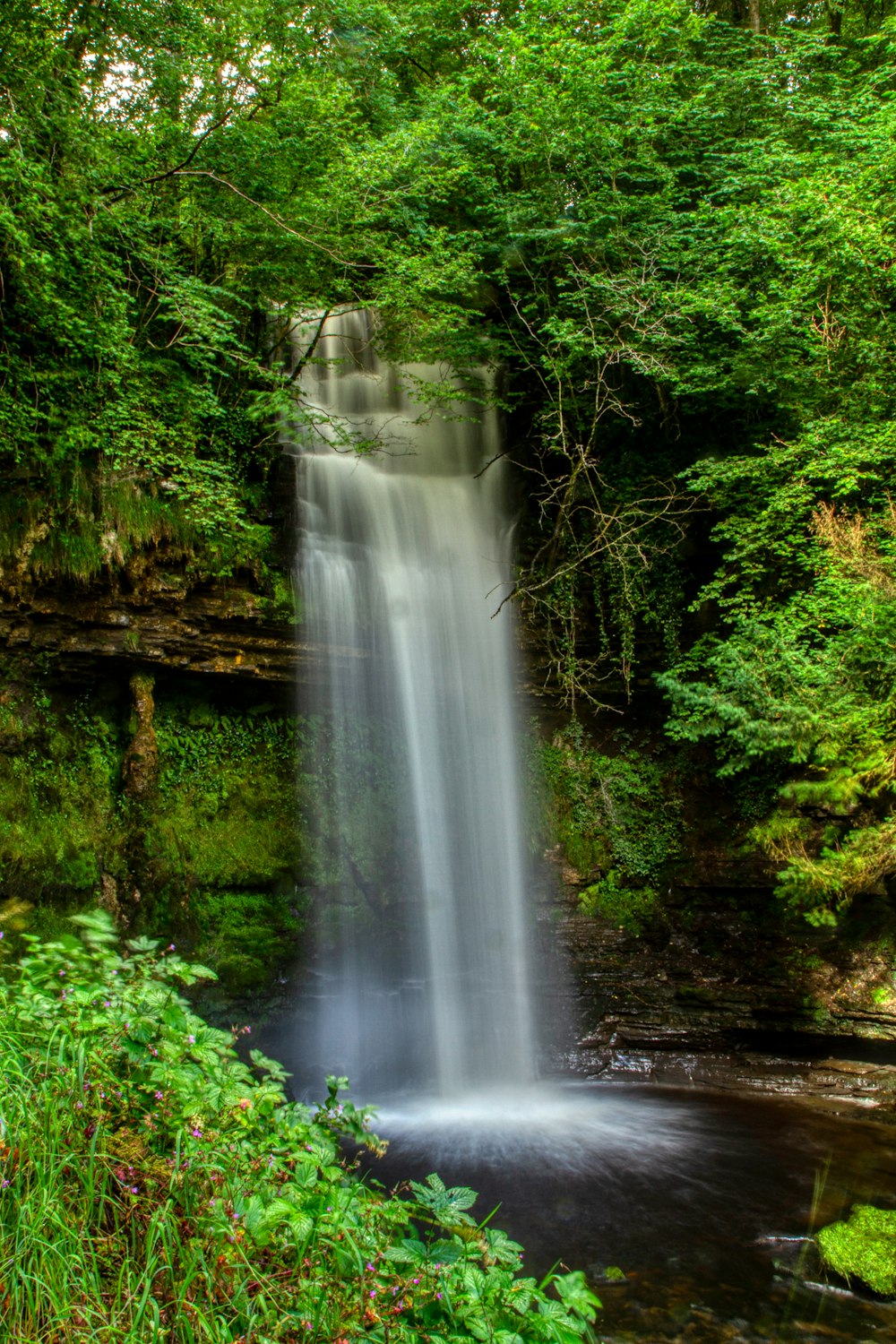 waterfalls in the middle of the forest