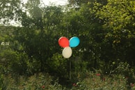 Kids playing with colorful balloons in a bright backyard setting.