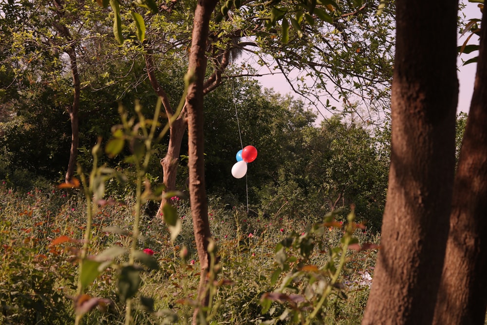 Ballon coeur rose sur une branche d’arbre pendant la journée