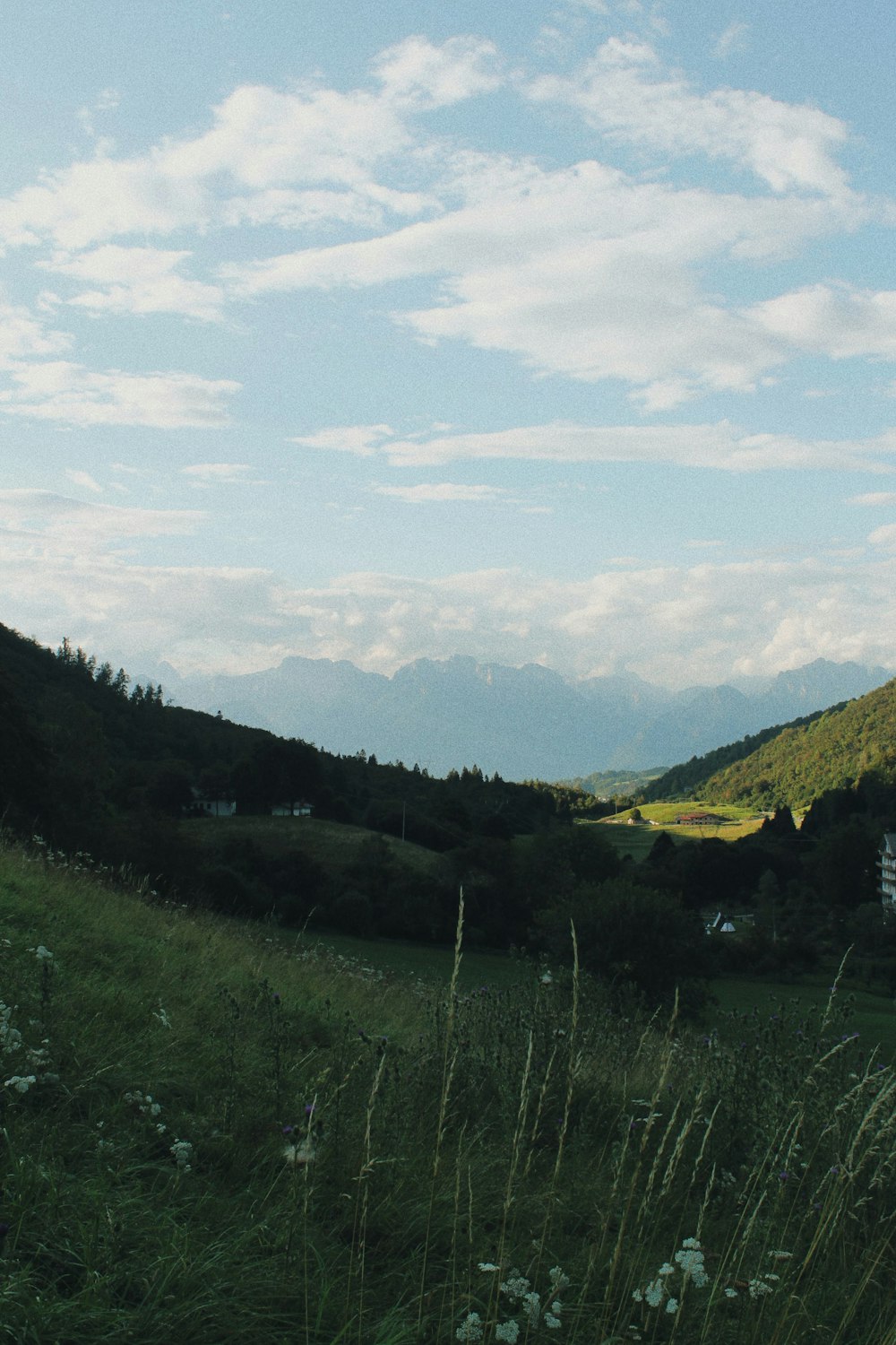 Champ d’herbe verte et montagnes sous les nuages blancs et le ciel bleu pendant la journée