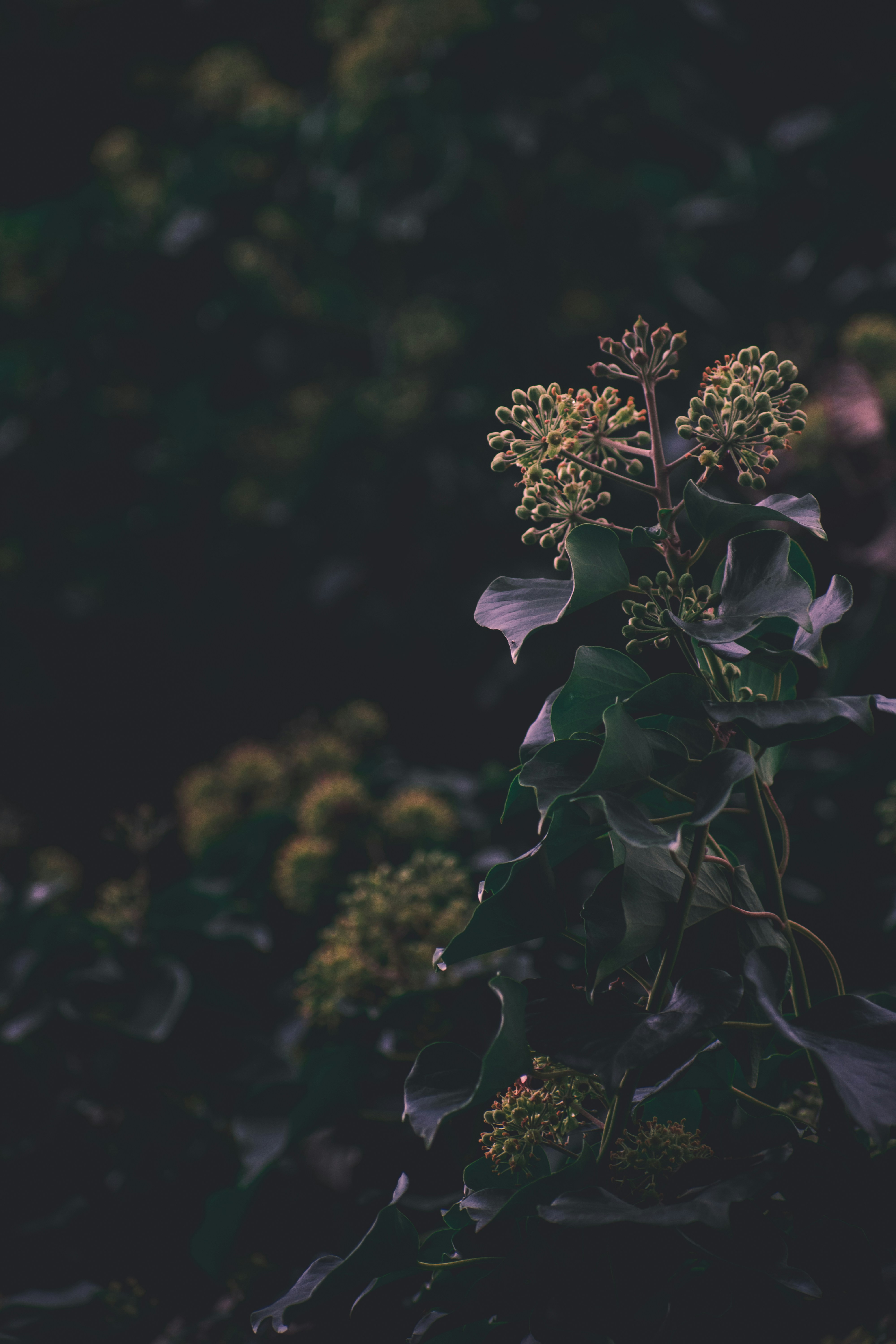 Photo by thezenoeffect