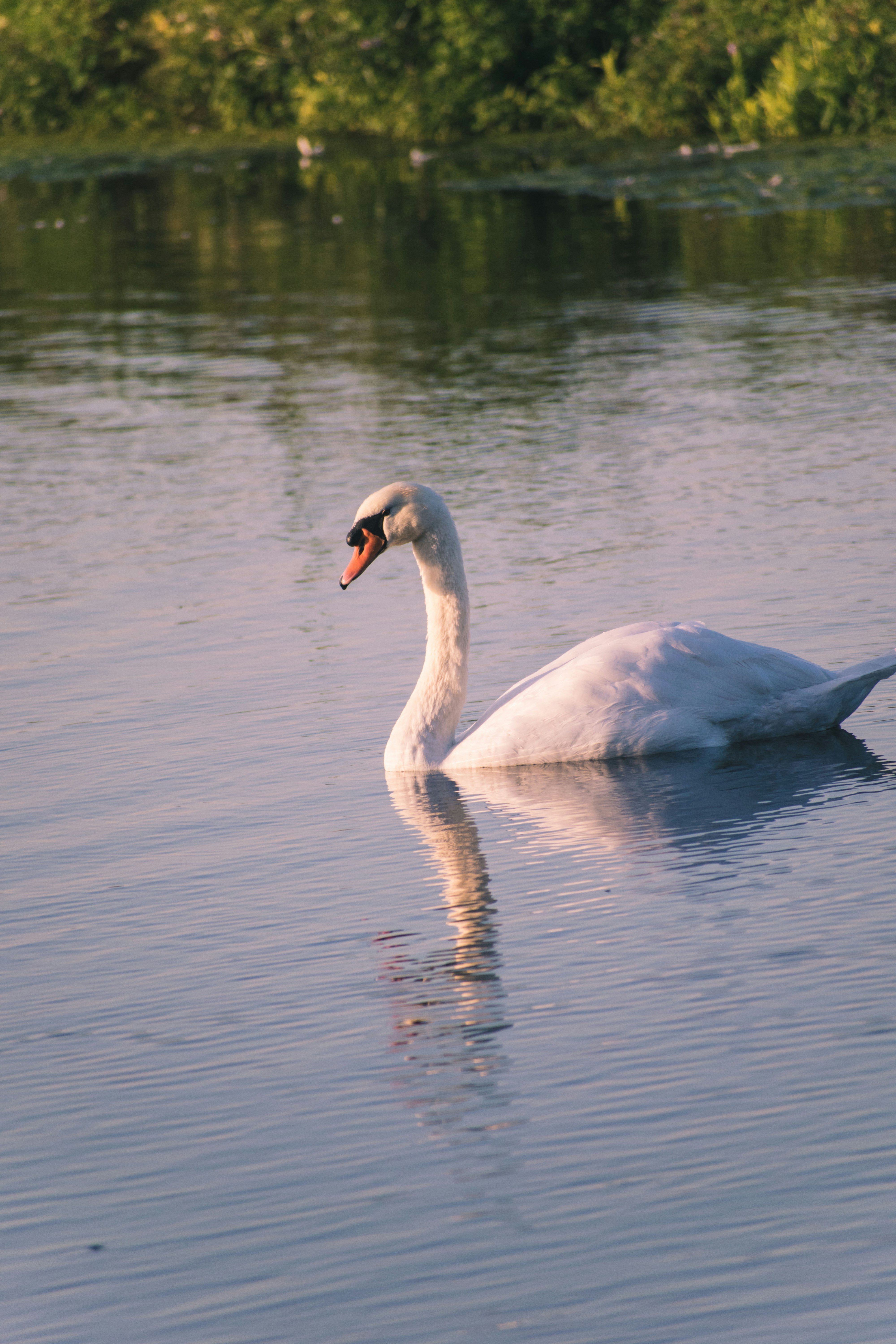 Photo by thezenoeffect