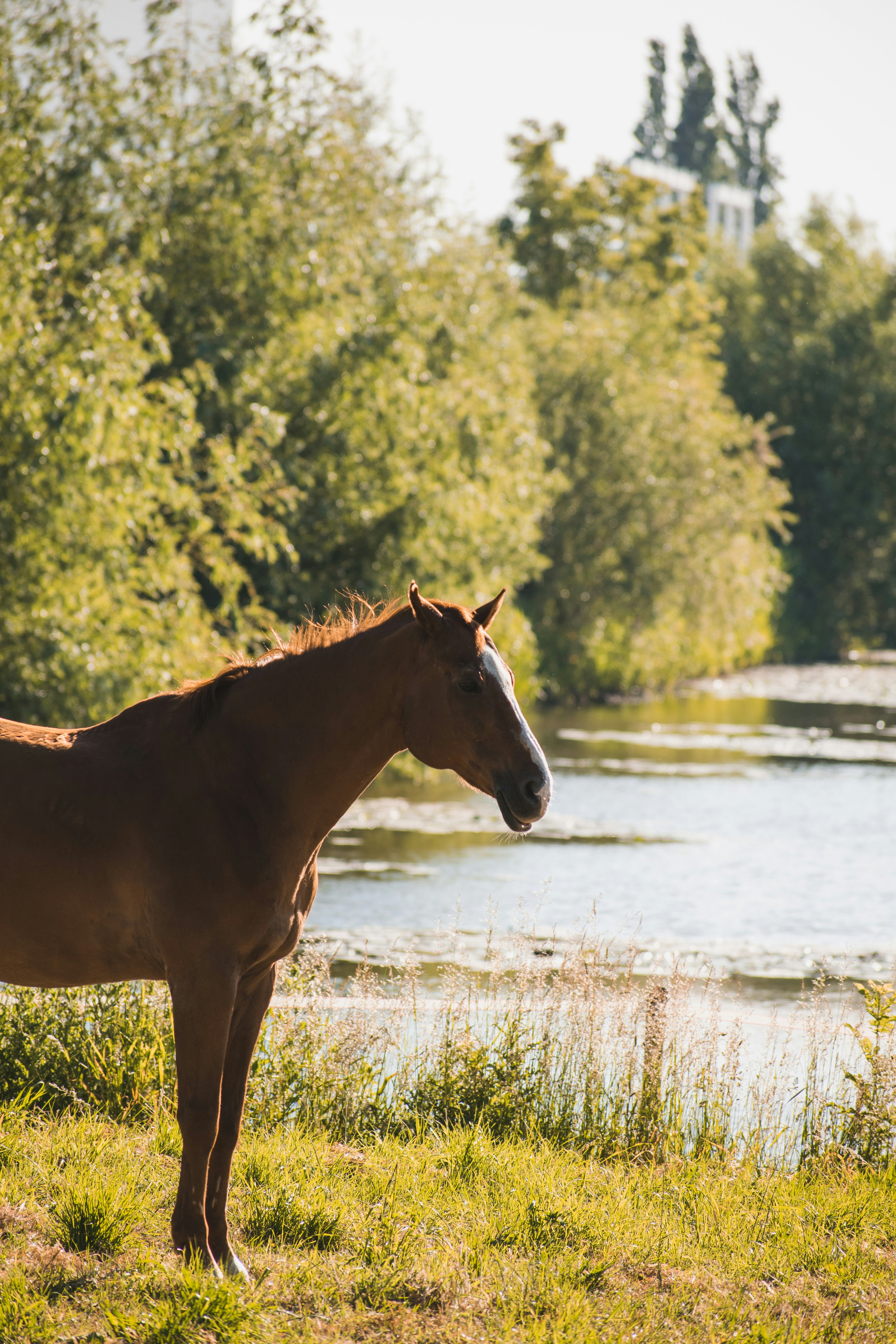 Photo by thezenoeffect