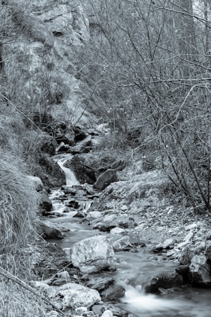 A peaceful mountain stream flowing beside a narrow trekking route.
