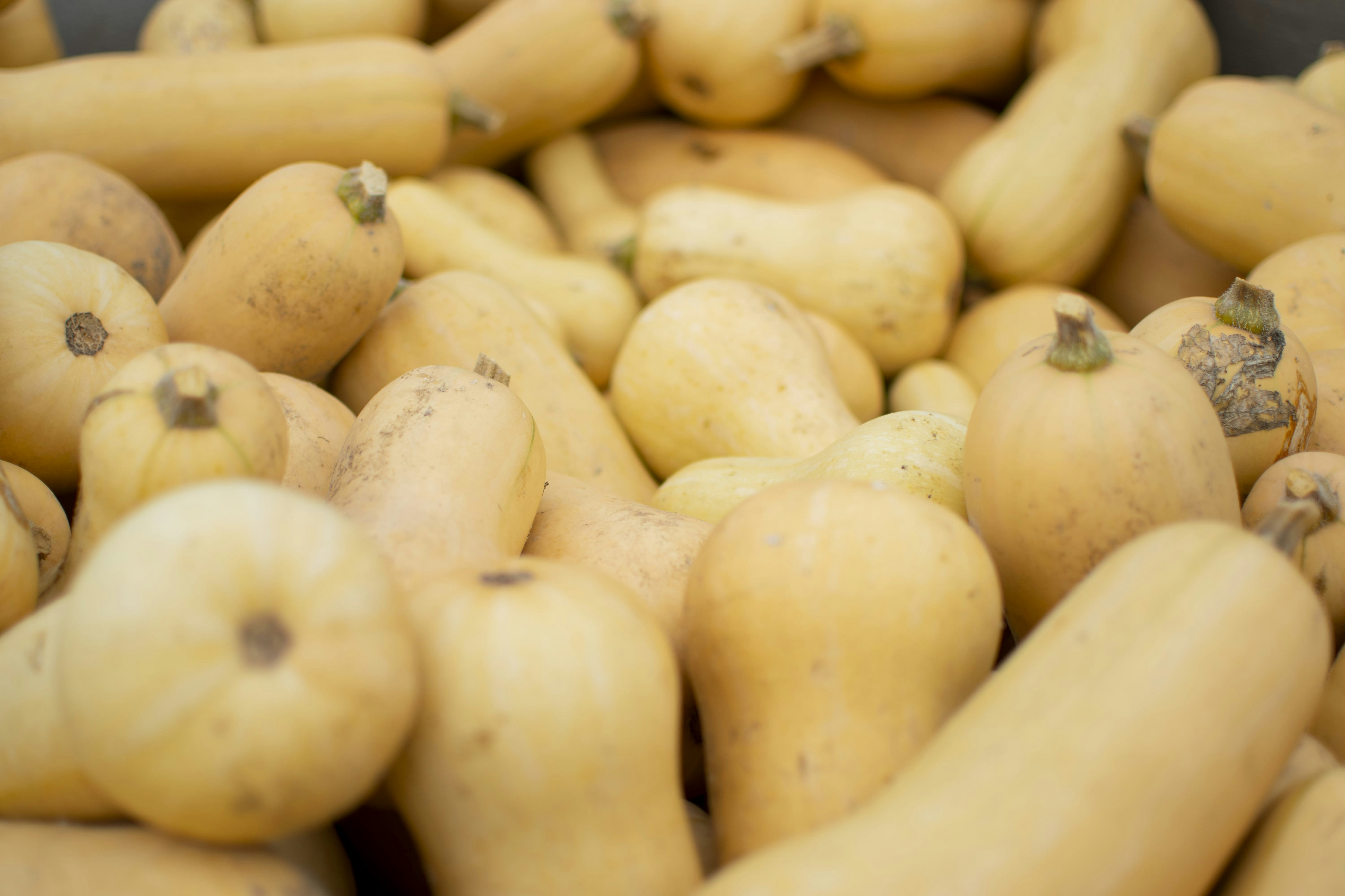 Photo by austinkregel