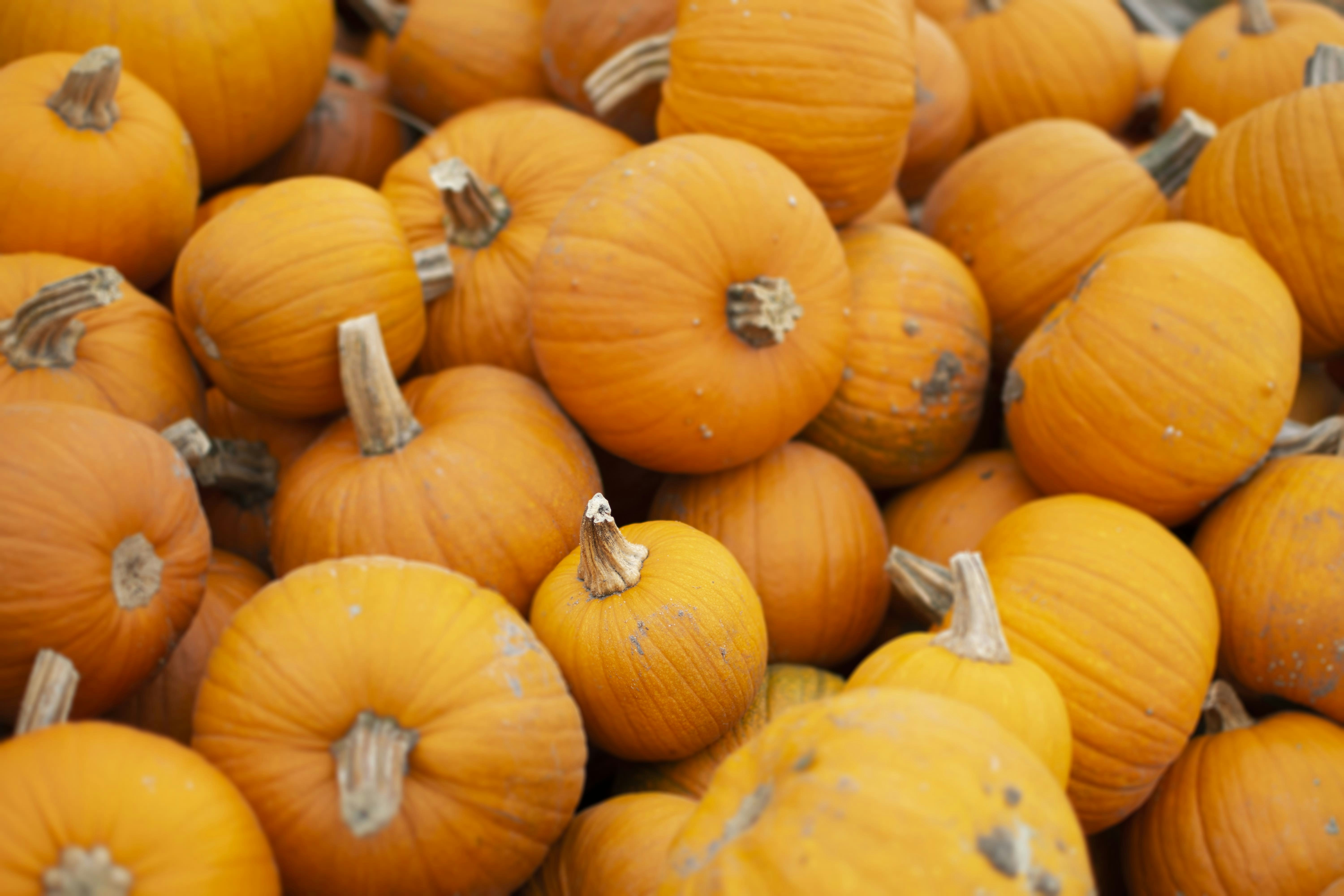 Photo by austinkregel