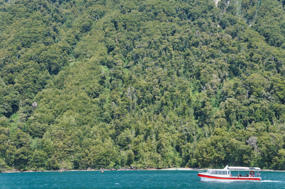 red and white boat on sea near green trees during daytime