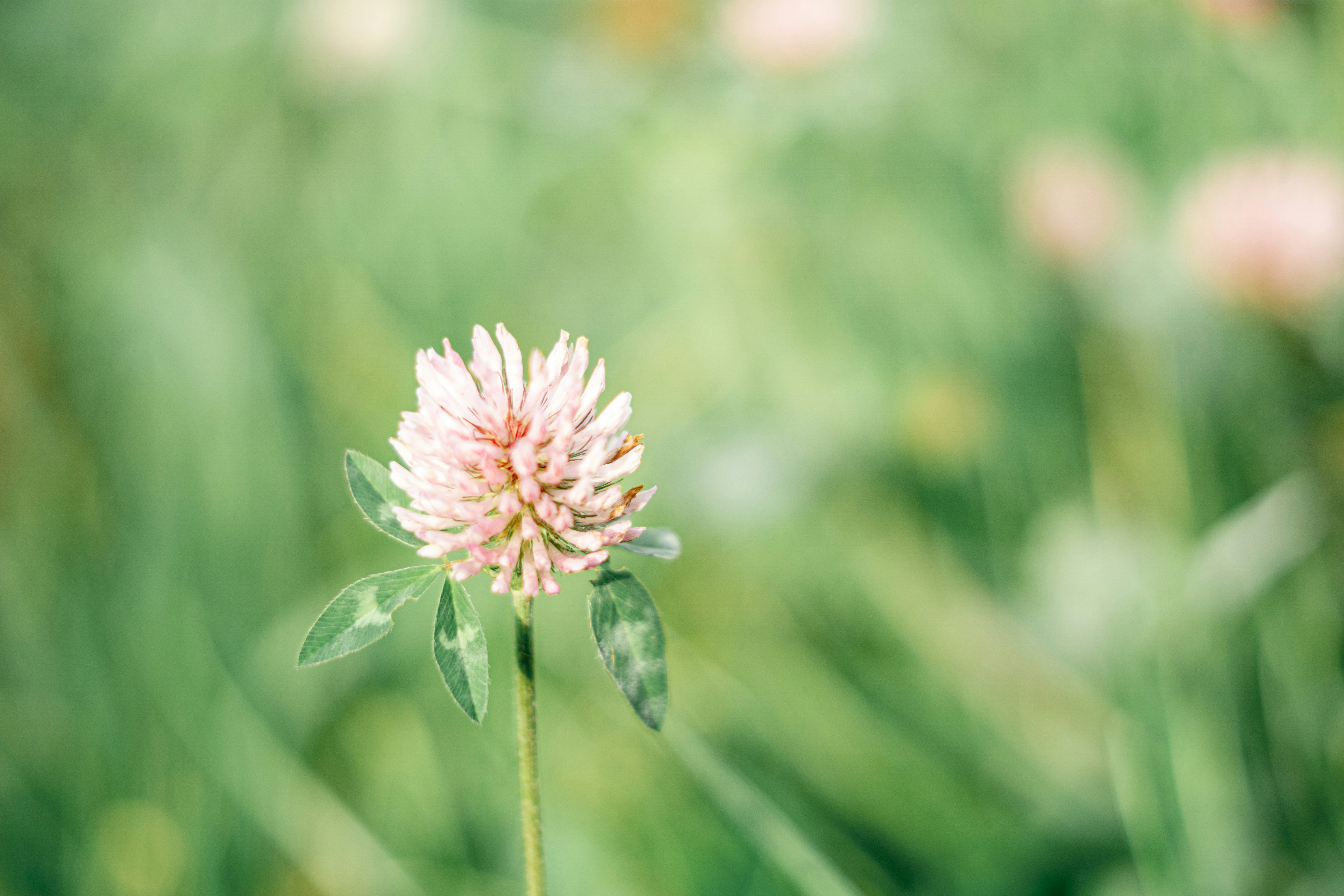 Photo by fanjatastisch