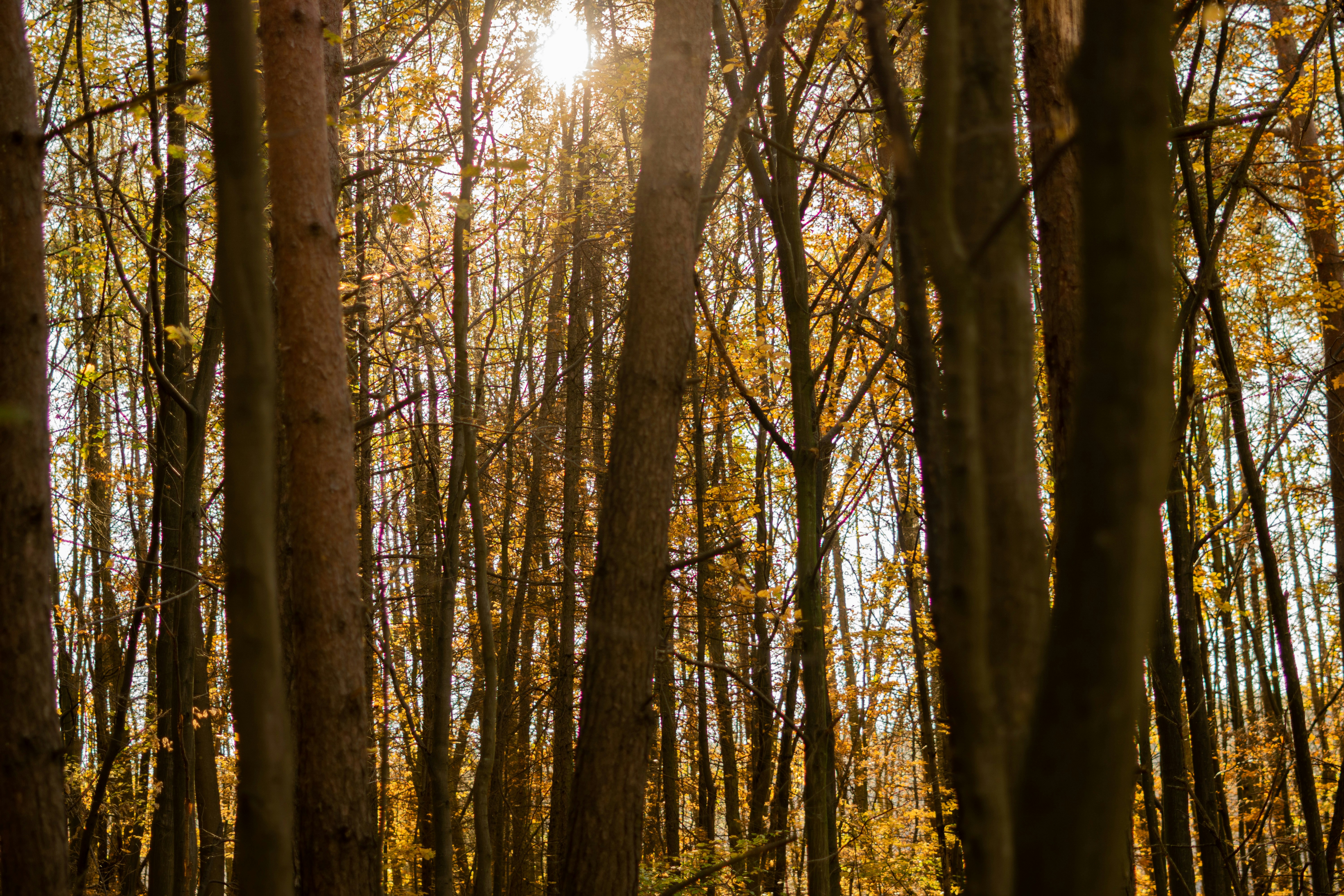 Photo by fanjatastisch