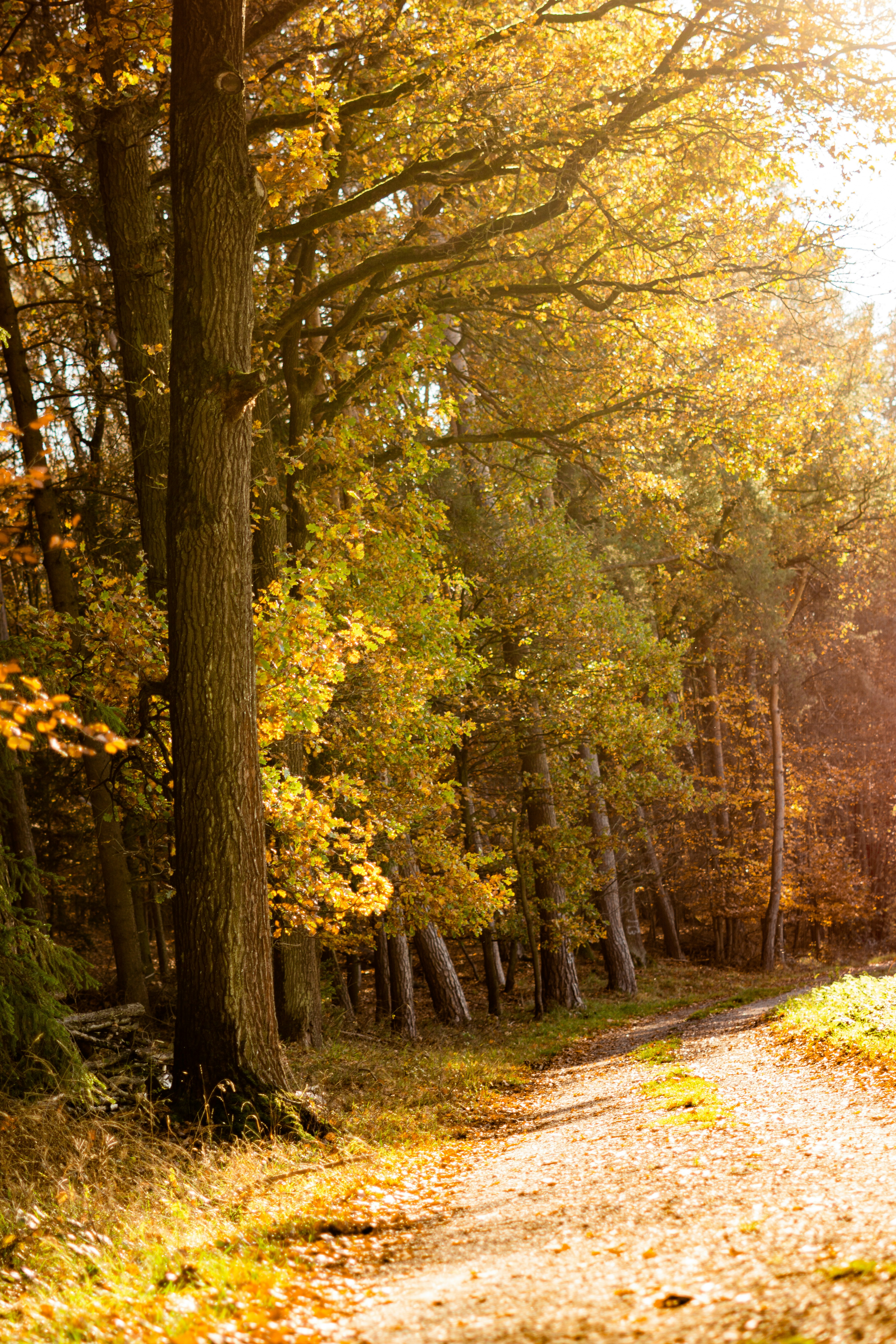 Photo by fanjatastisch