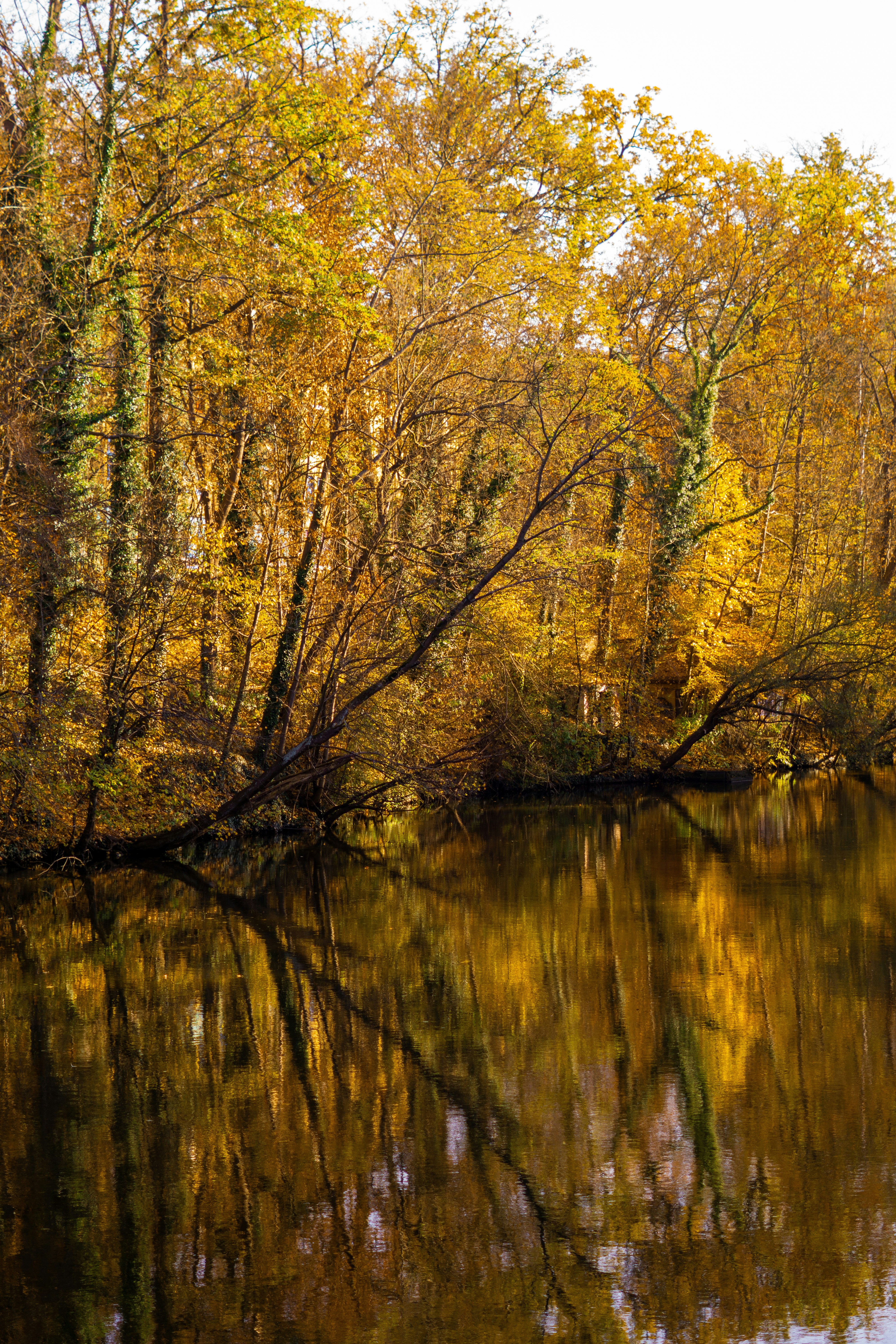 Photo by fanjatastisch