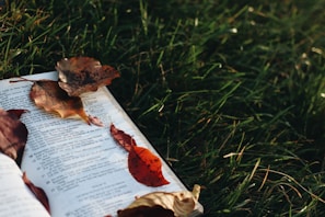 An open book with pages fluttering, resting on a bed of autumn leaves.