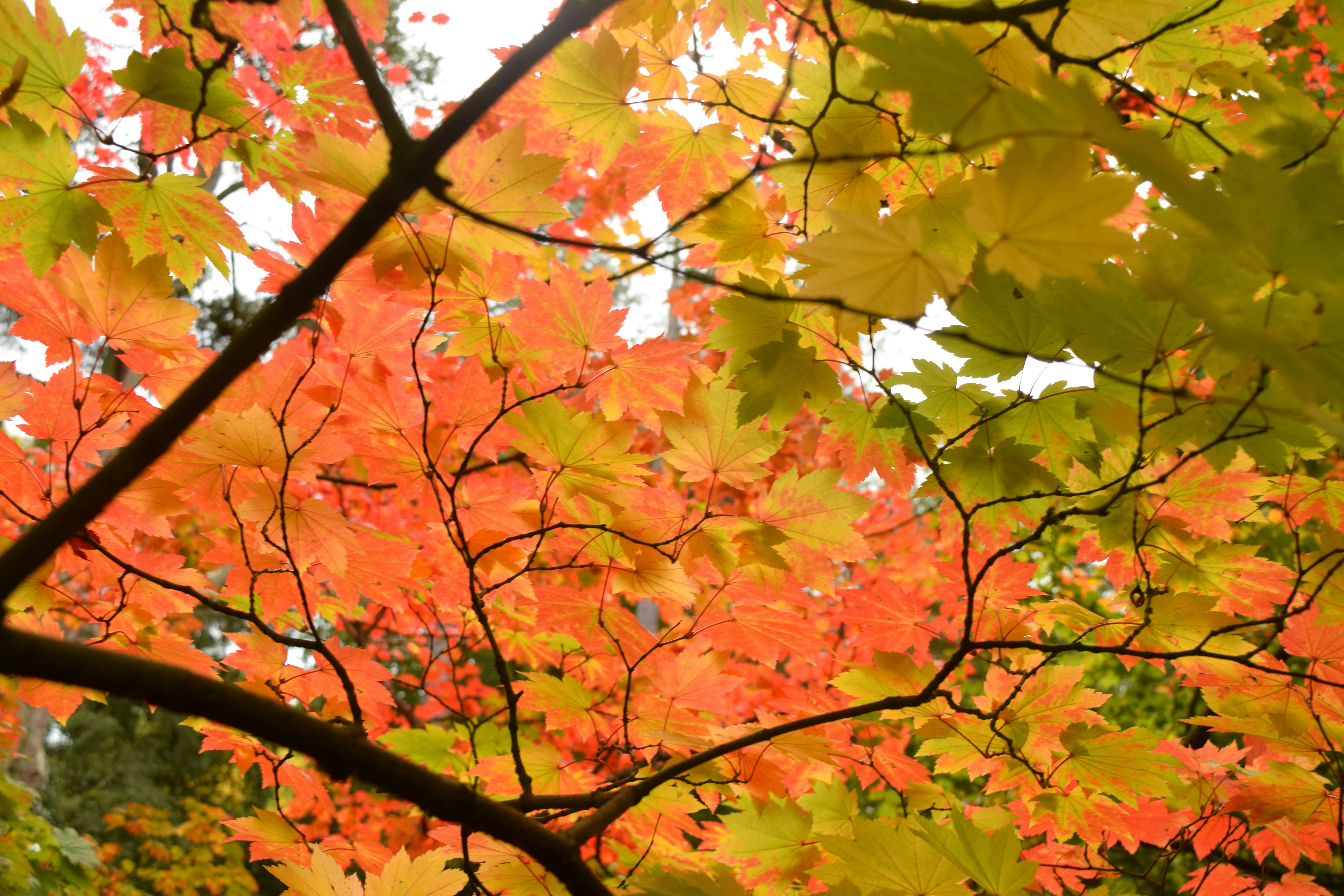 Photo by allisonh328