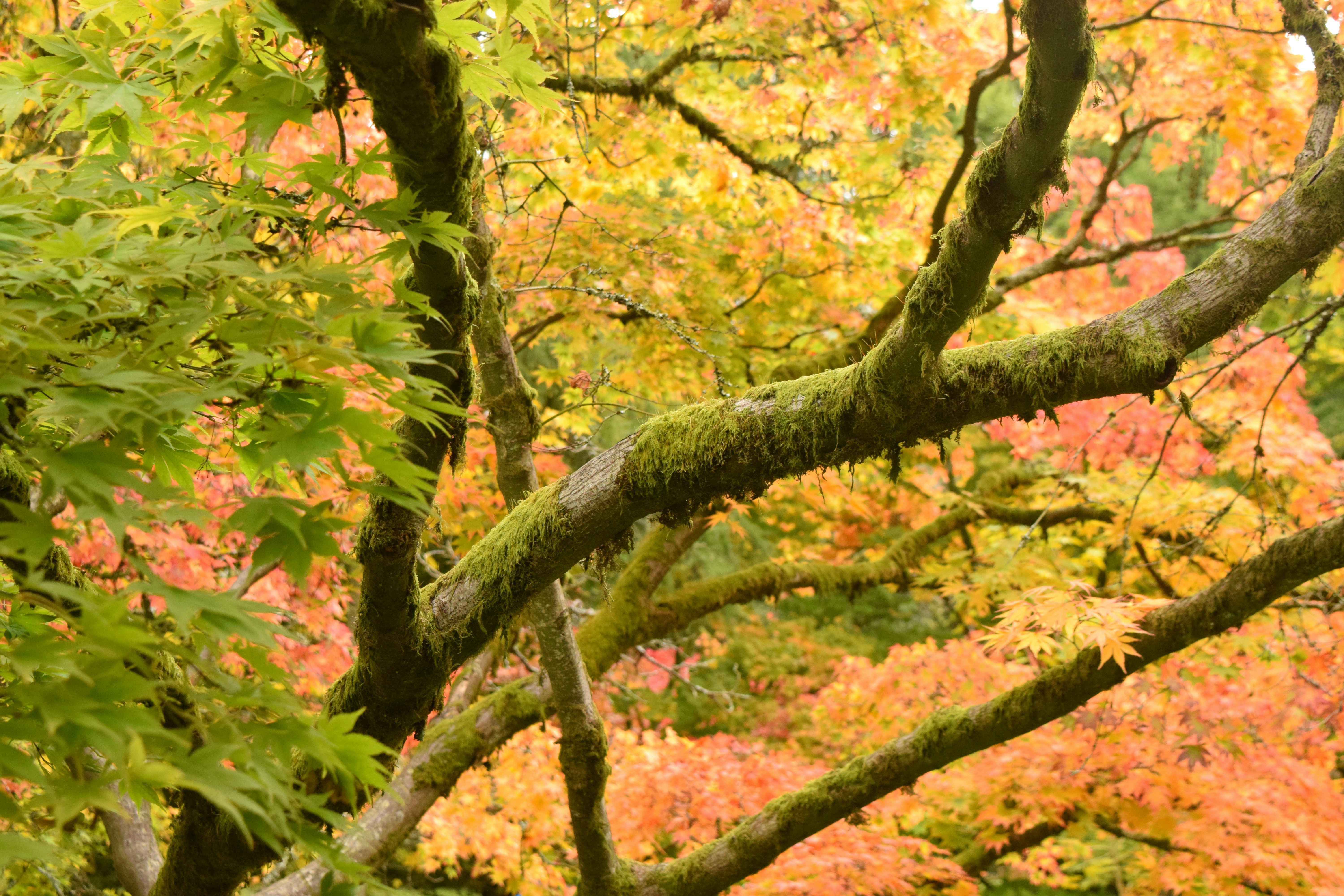 Photo by allisonh328