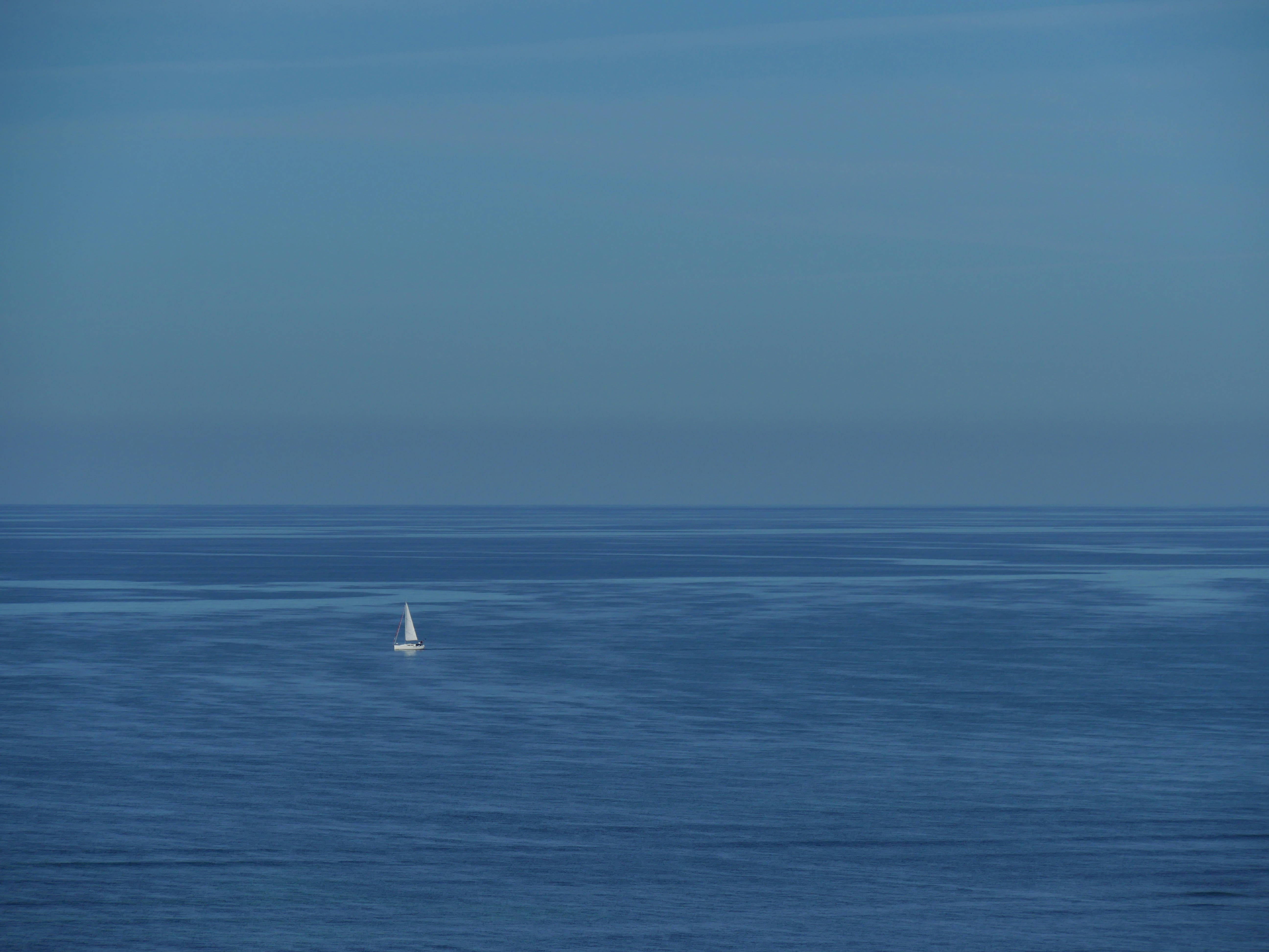 Photo by nimbus_vulpis