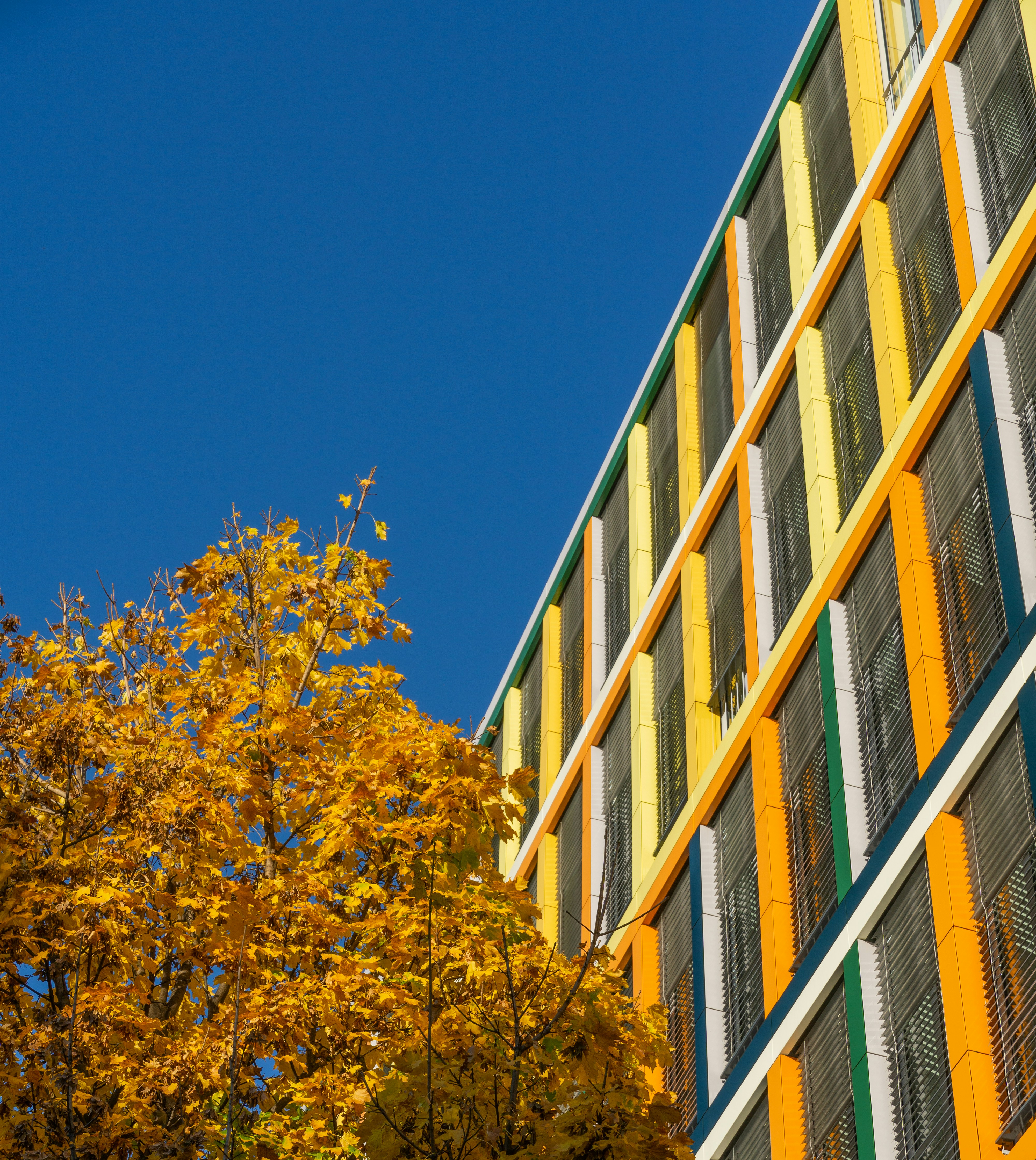 Photo by danieldumbrava