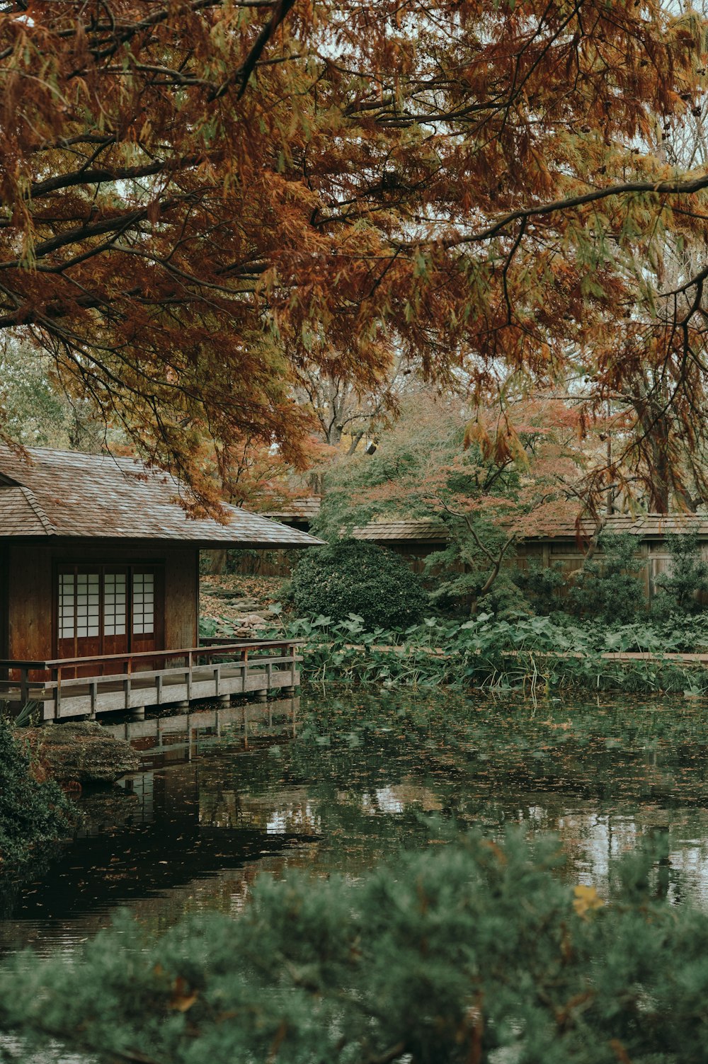 brown wooden house near body of water