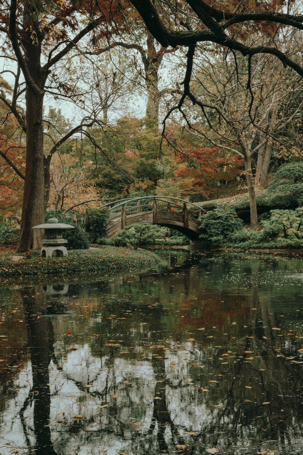 brown trees beside body of water during daytime