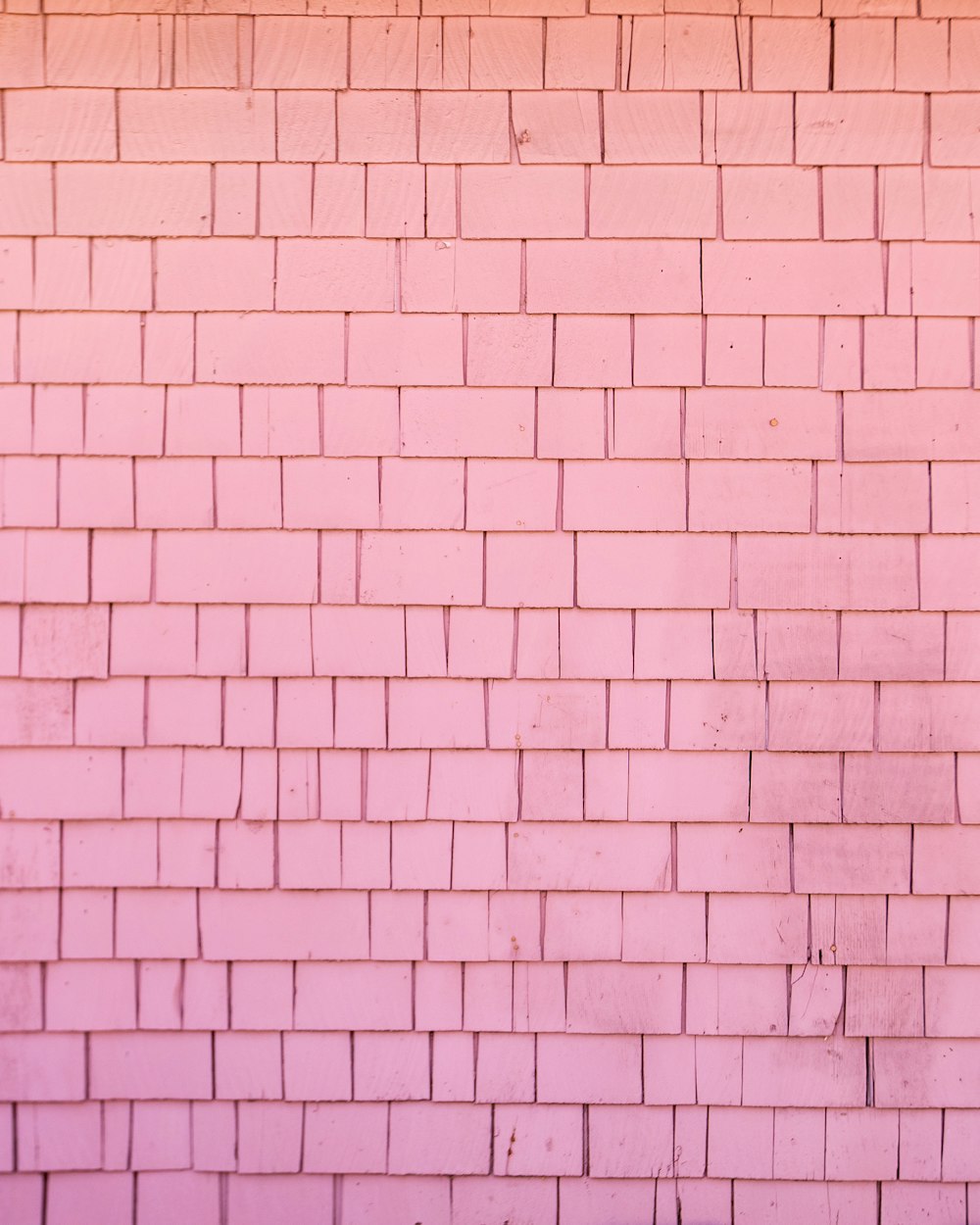 muro di mattoni rosa e bianco