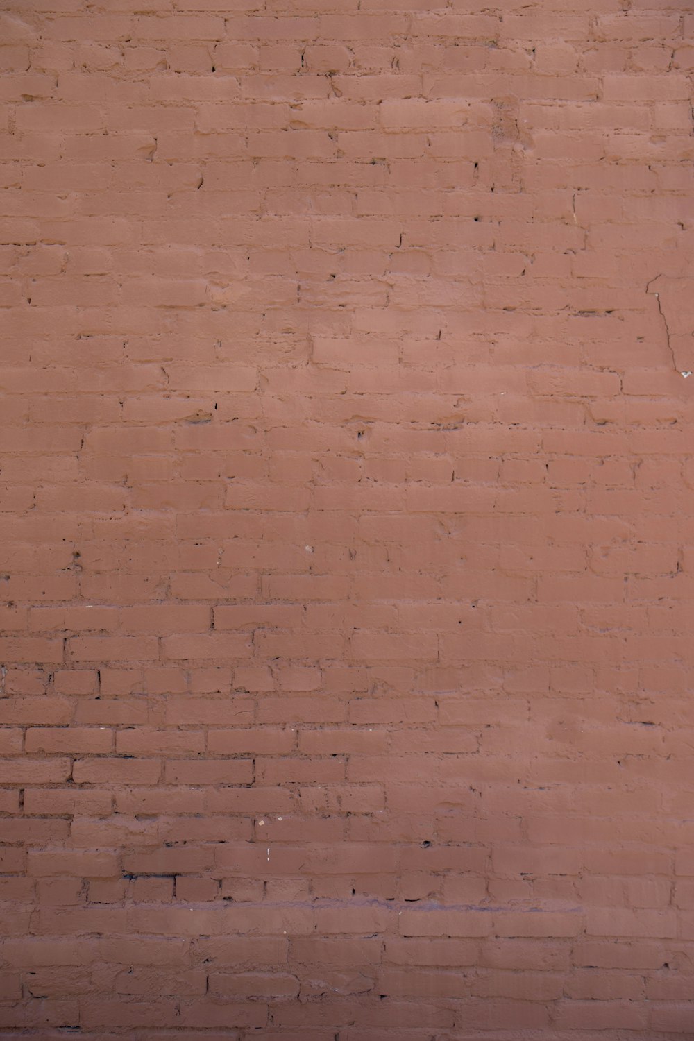 brown brick wall during daytime