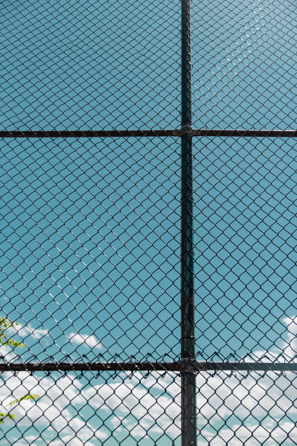 Black vinyl-coated chain link fence