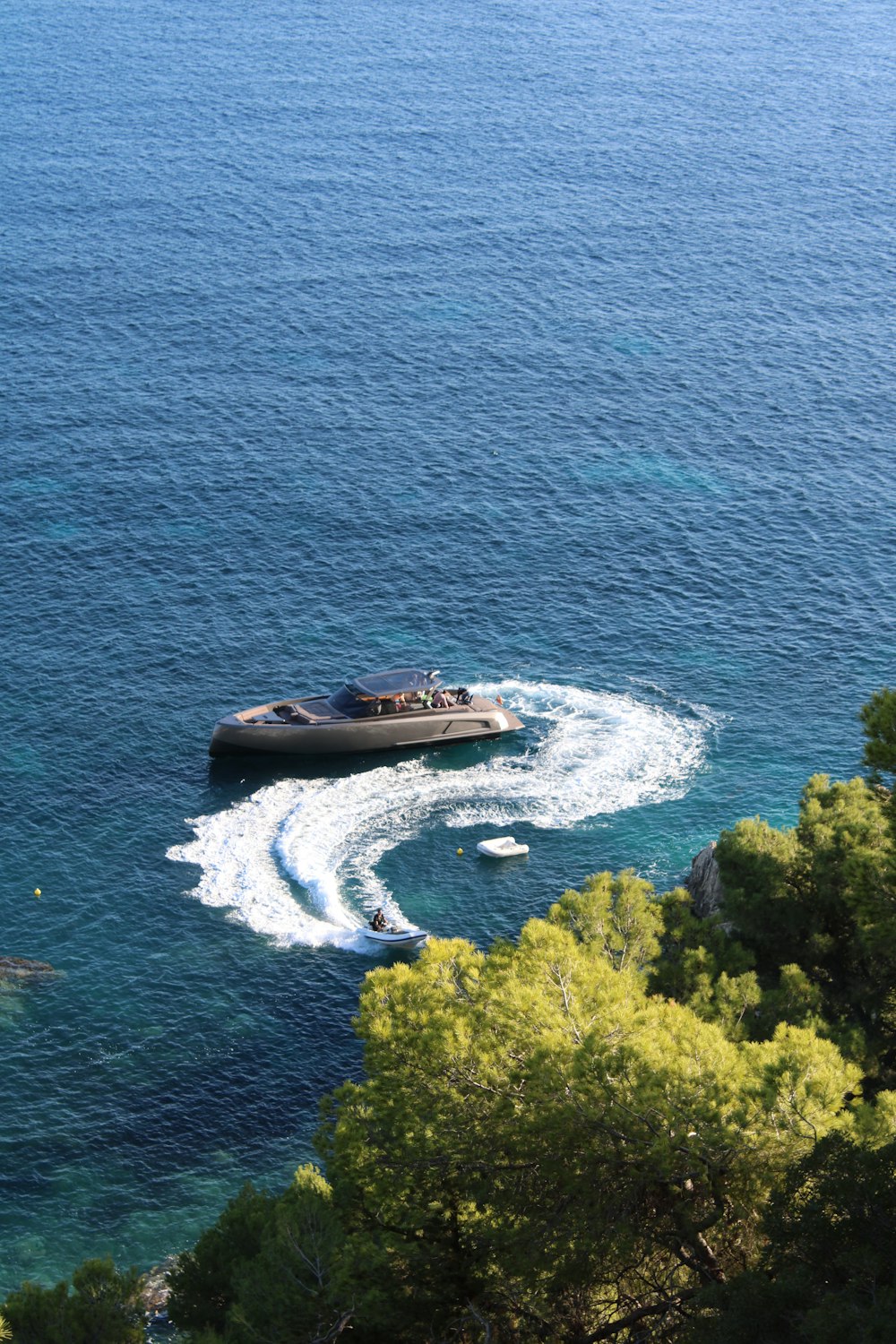 Vue aérienne d’arbres verts au bord d’un plan d’eau pendant la journée