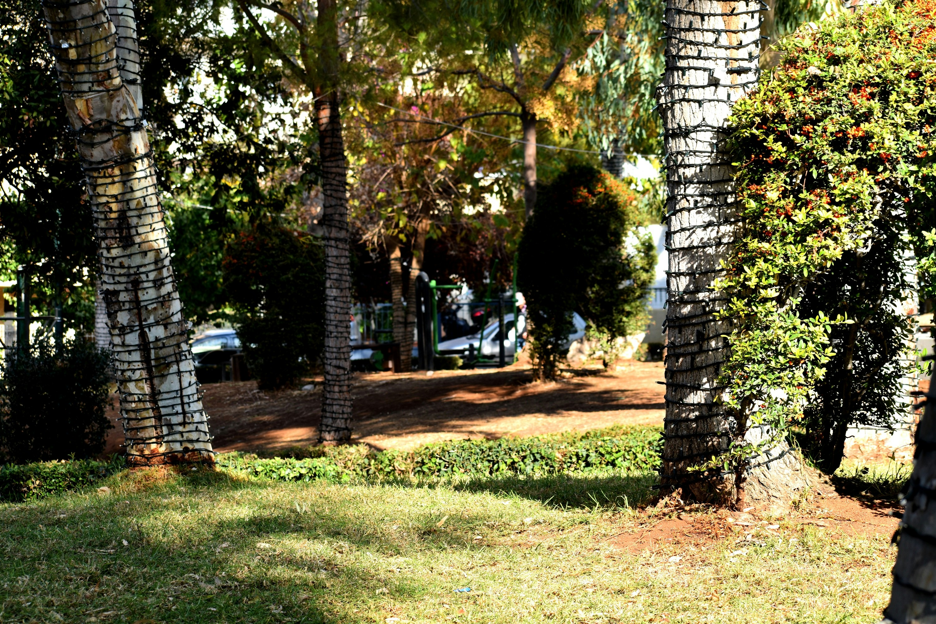 Photo by giorgospigis24