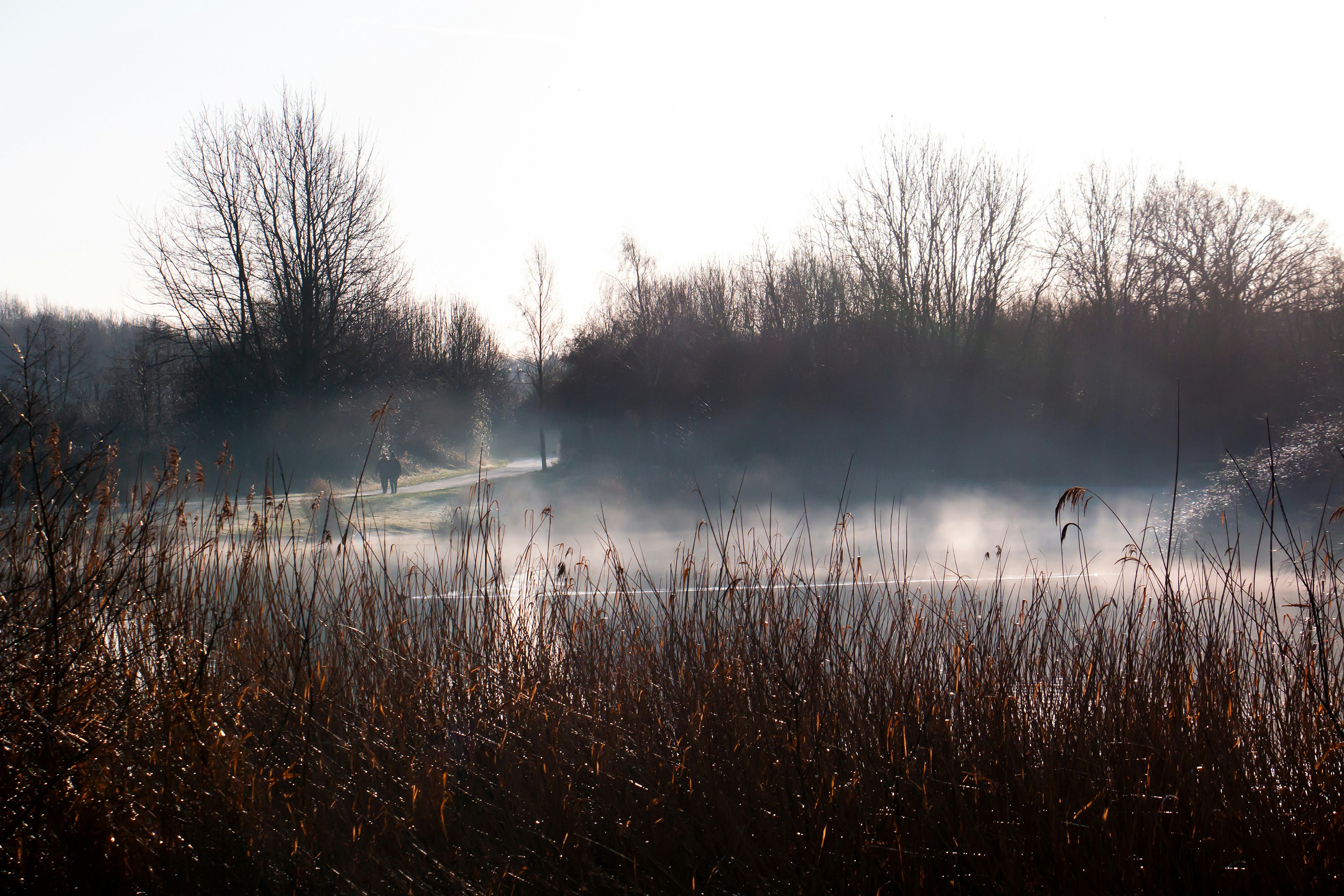 Photo by buddhapixel