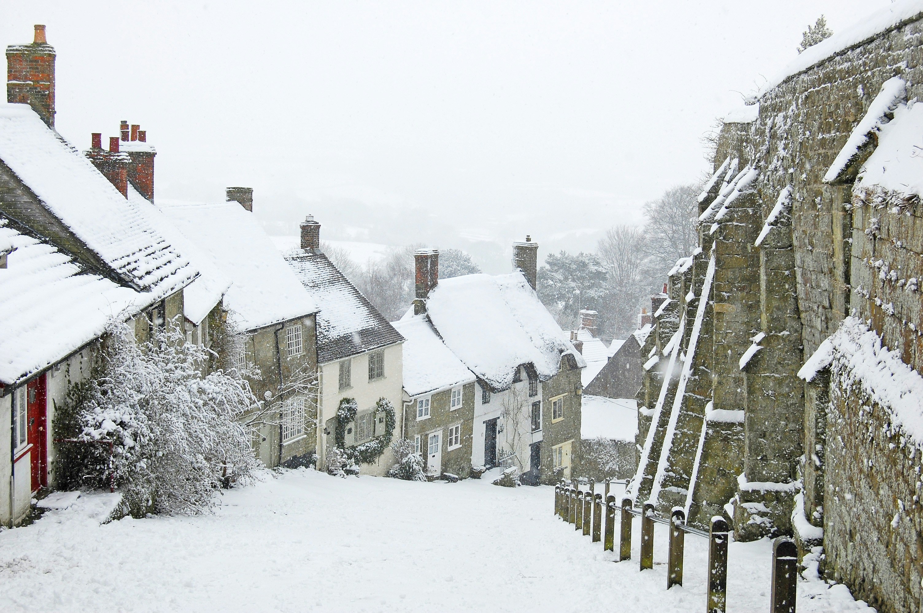 Photo by bacchanalia