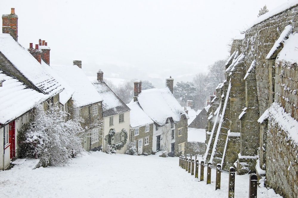 Casas cubiertas de nieve durante el día