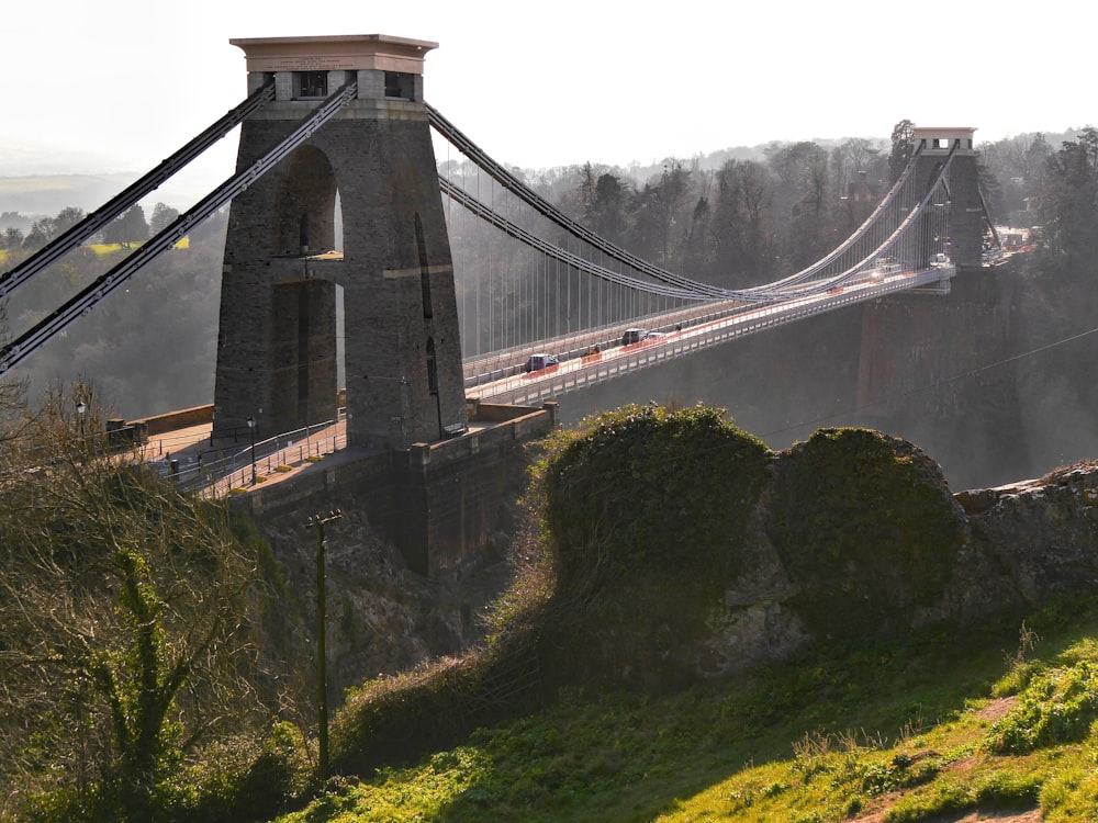 ponte bianco sugli alberi verdi