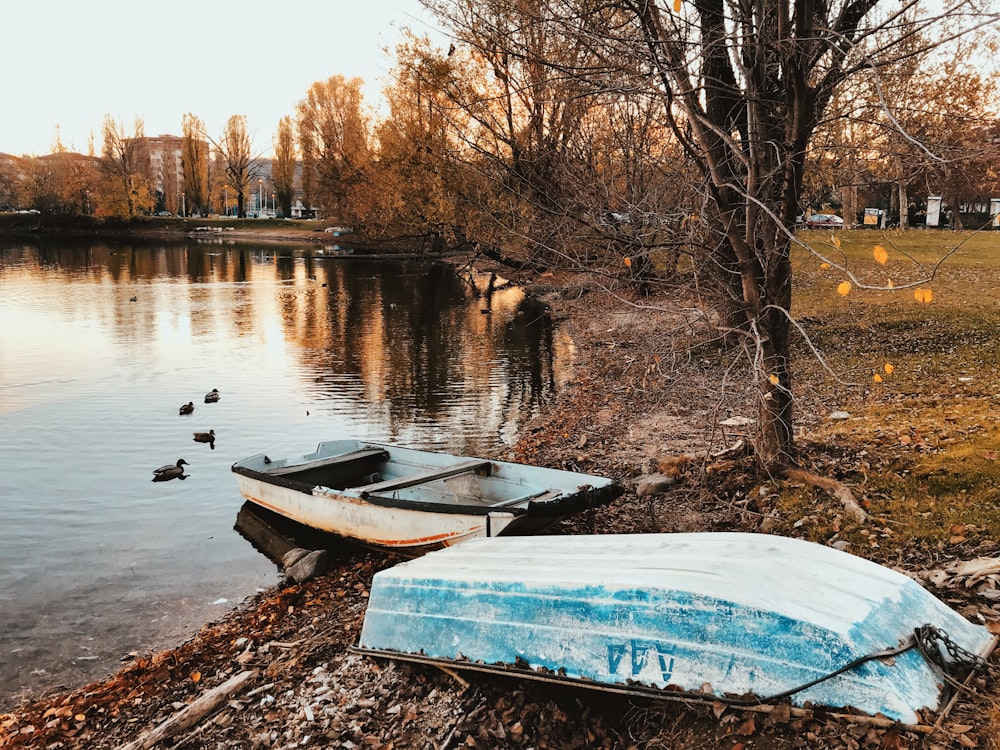 white and blue canoe on river during daytime