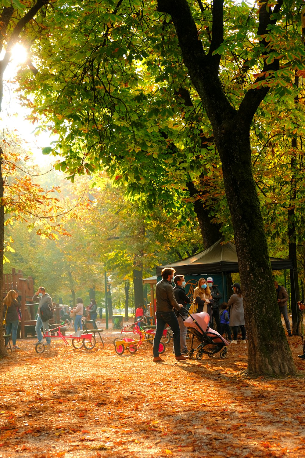 people sitting on brown wooden bench under green trees during daytime