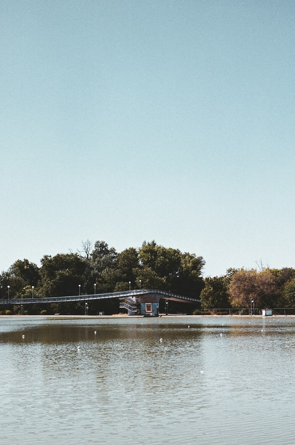 brown and white boat on water near green trees during daytime