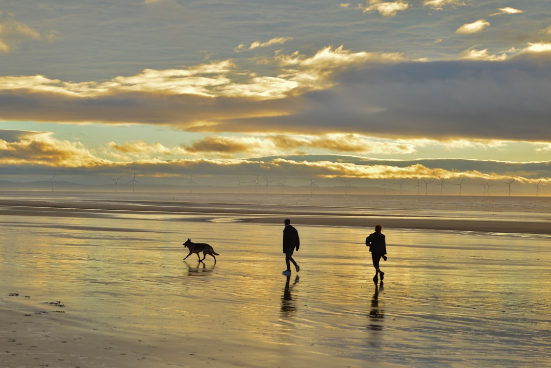 silhouette of 2 people walking on beach during sunset