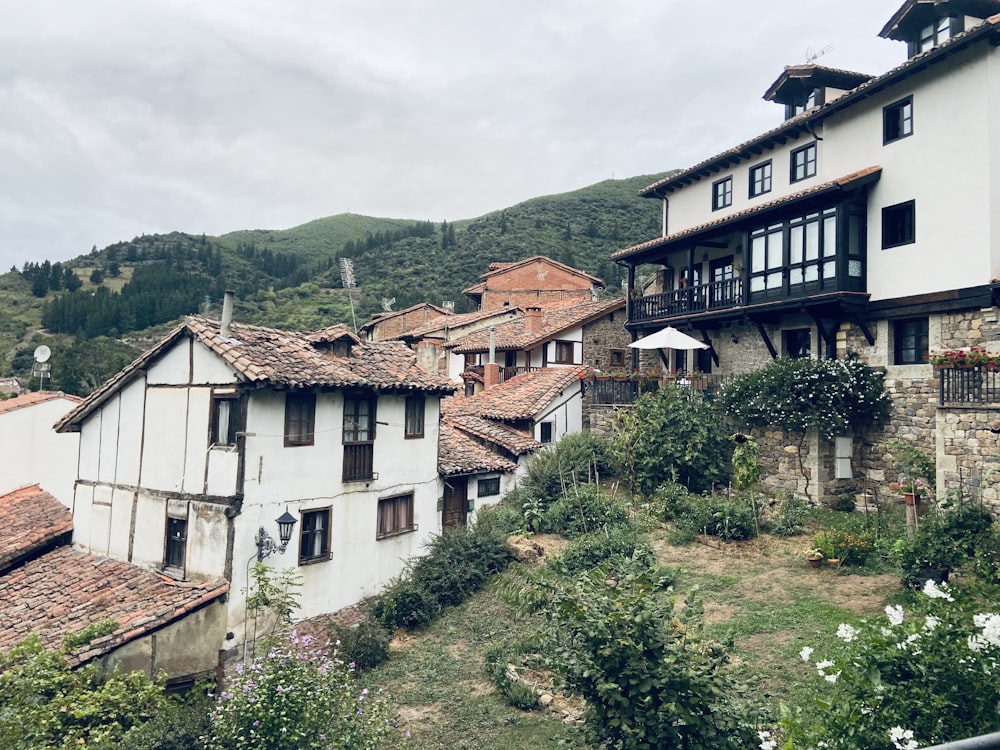 white and brown concrete houses near green trees under white clouds during daytime