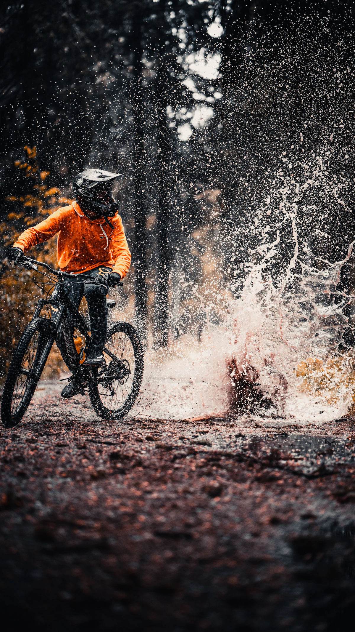 Rider in an orange jacket on the trail