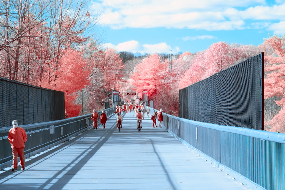 people walking on bridge near red leaf trees during daytime