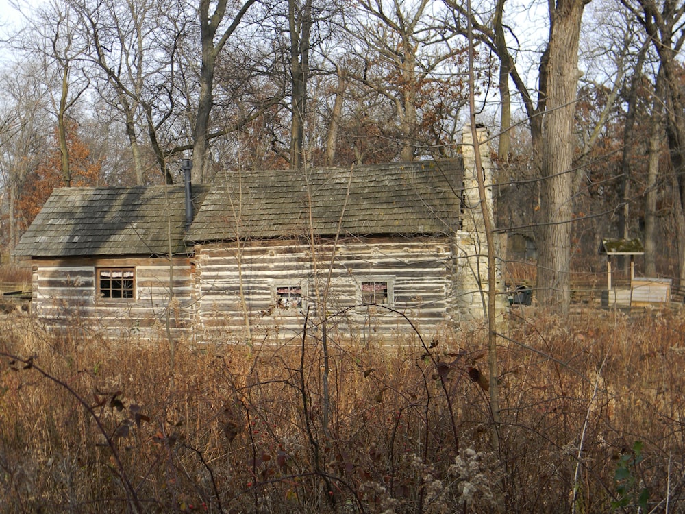 brown bare trees near brown wooden house during daytime